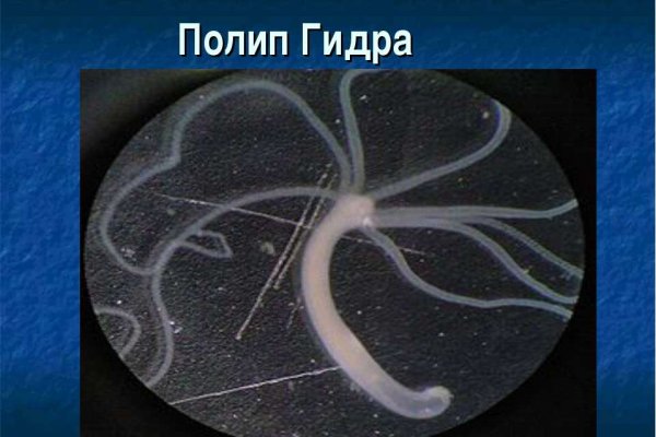 На сайте кракен пропал пользователь