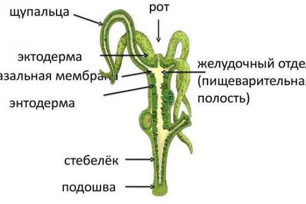 Darknet ссылки